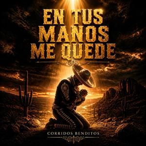 EN TUS MANOS ME QUEDE