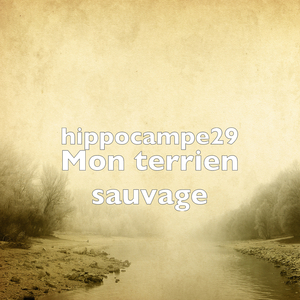 Mon terrien sauvage