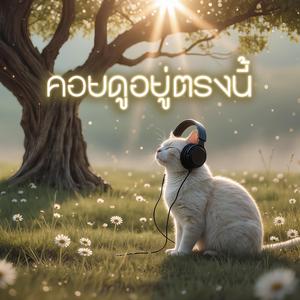 คอยดูอยู่ตรงนี้