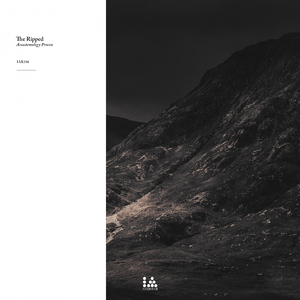 Carácter (Original Mix)