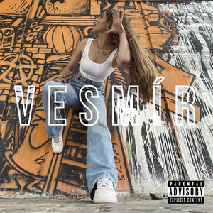VESMIR