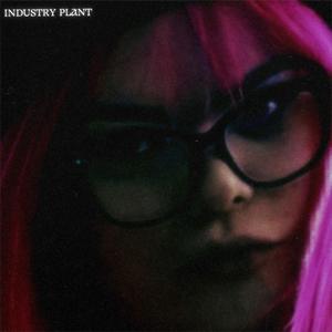INDUSTRY PLANT! (feat. Lia Y2K & Bimbo Brat)
