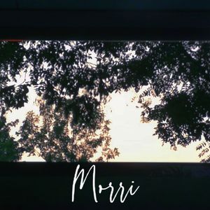 Gelligheid惬意老友重逢