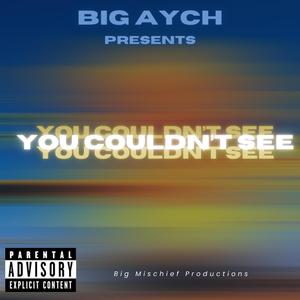 You Couldn't See