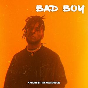 Bad Boy