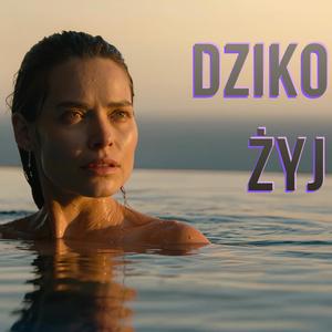 Dziko Żyj - Deep House