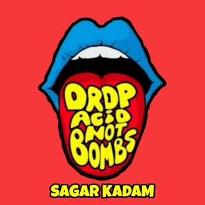 Drop Acid NOT Bombs
