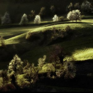 原来下雪和失约 都是无法预料地告别