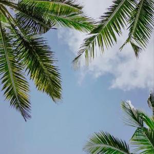 橘子OK-LAXED（浪子彦小黑 remix）