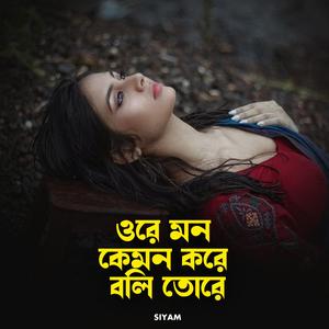 ওরে মন কেমন করে বলি তোরে