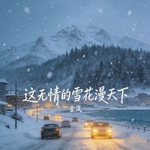 这无情的雪花漫天下