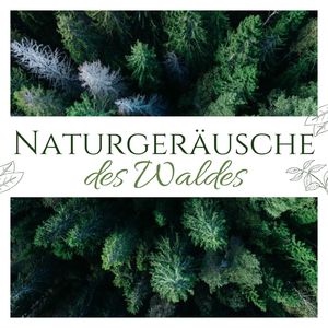 Entfernung Negativer Energie