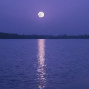 诗雪 - 岁月路漫长