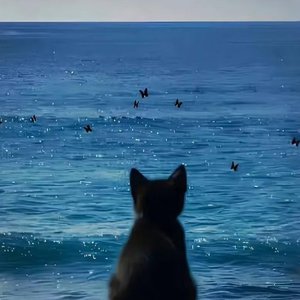 姑苏城（狐狸君翻唱）