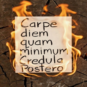 Carpe Diem Quam Minimum Credula Postero