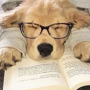 Seeing Green (slowed)