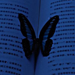 Blue Butterfly V2