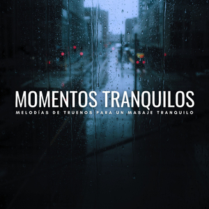 Calma Del Trueno De La Lluvia Tranquila Y Truenos