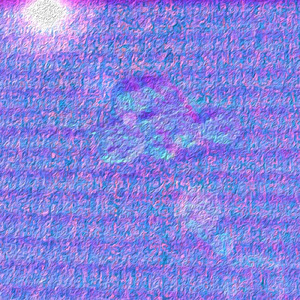 とんでっちゃいたい