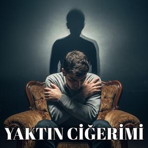 Yaktın ciğerimi