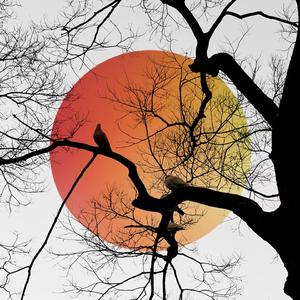 妓和不如（抒情版）（翻自 隔壁老樊）