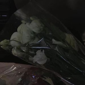 远走 伴奏