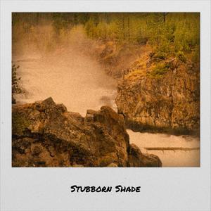 Stubborn Shade