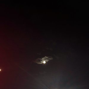 把眼泪藏进身体