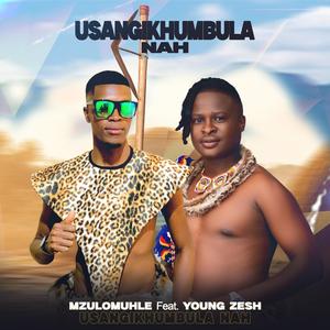 Usangikhumbula Nah (feat. Young Zesh)