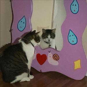 in loving