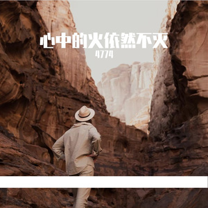 阳光穿过树梢照