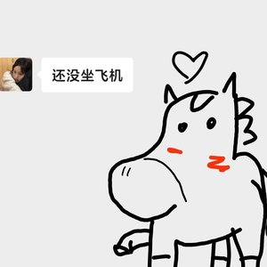 还没坐飞机