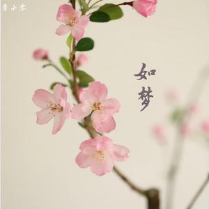 长相思 (Longing Thoughts)