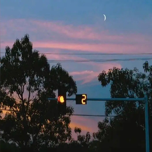 风替我藏起思念