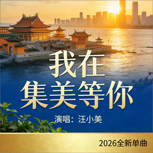 我在集美等你