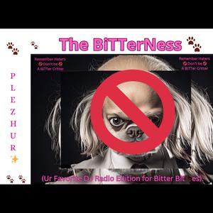 The BiTTerNess (Ur Favorite DJ Radio Edition for Bitter sehctiB)