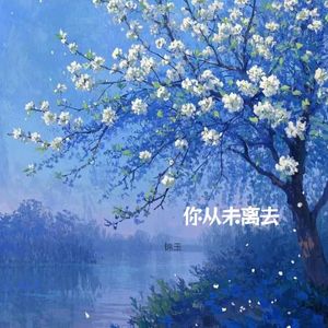 你从未离去(R&B合唱版) 伴奏版