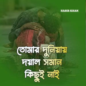 তোমার দুনিয়ায় দয়াল সমান কিছুই নাই