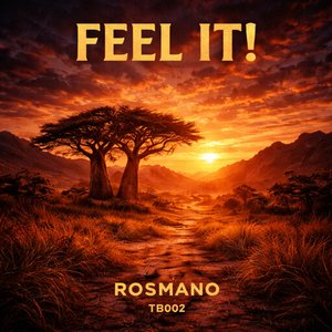Feel It! (Extended)