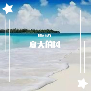 夏天的风（抖音版）