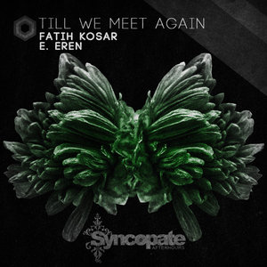 Till We Meet Again (Original Mix)
