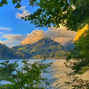 《灯火下的温柔目光与繁星》