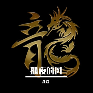 孤夜的风