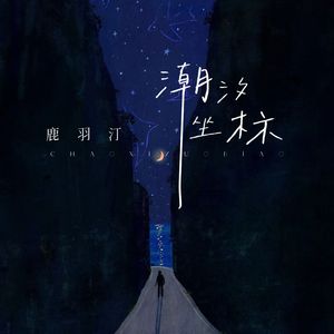 坐标潮汐