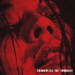 НИКОГДА НЕ ЛЮБИЛ