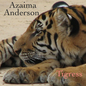 Don't Tempt the Tigress (feat. Chris Rogers, **** Hollis, Scott Elliot & Gary Clancy)