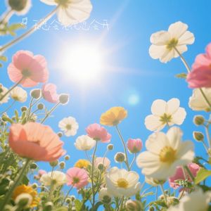 天总会亮花总会开（Live合唱版）