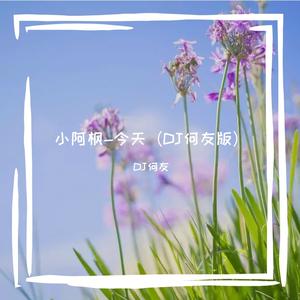 小阿枫 - 今天（DJ何友版）