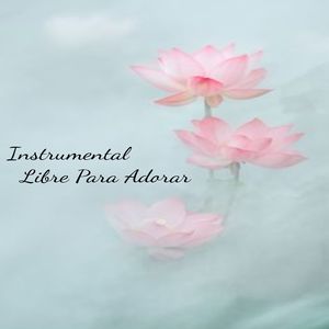 Brinda Bienestar A Tu Vida