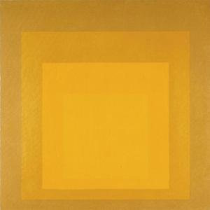 麦田（翻自 蓝心雨）